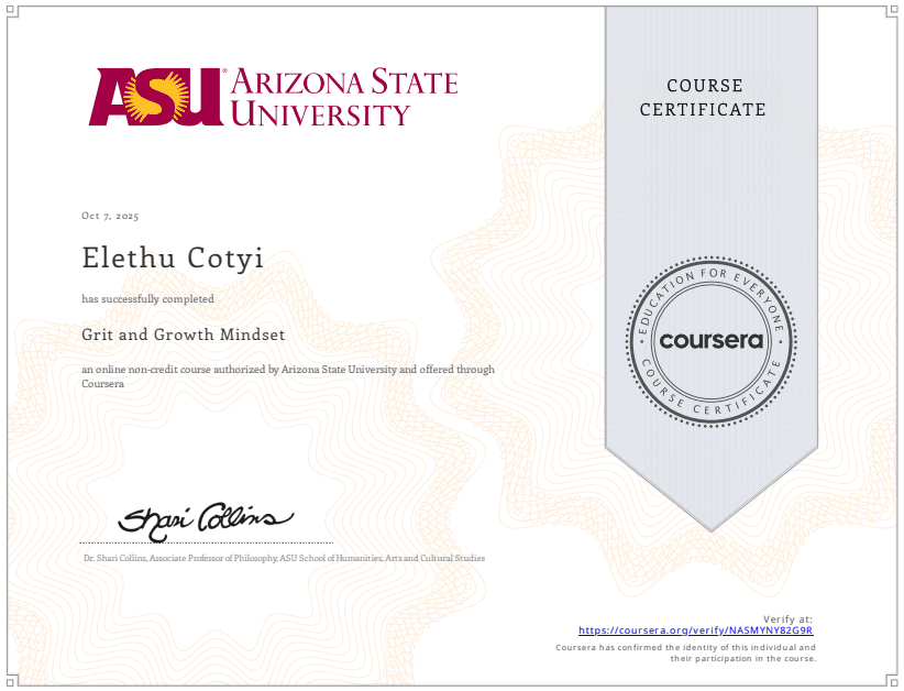 Professional Development Certificate 17